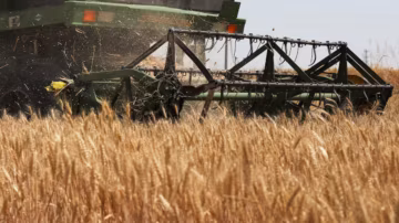 Stocks alimentaires mondiaux élevés : un amortisseur face au risque d’un El Niño potentiellement extrême