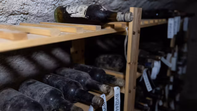 Un trésor caché pendant la guerre refait surface : 133 bouteilles de vin du XIXe siècle exposées dans un château tchèque — photo