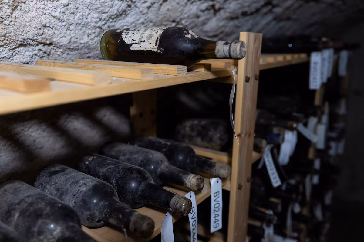 A treasure hidden during the war resurfaces: 133 bottles of 19th-century wine on display in a Czech castle