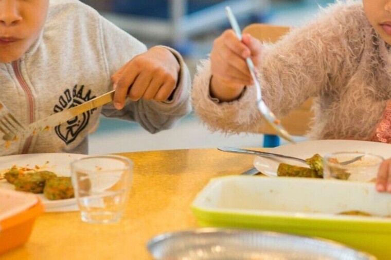 Vers une disparition totale du plastique dans les cantines et les crèches