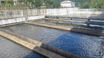 La Martinique se dote d'une autorité unique de l'eau et de l'assainissement