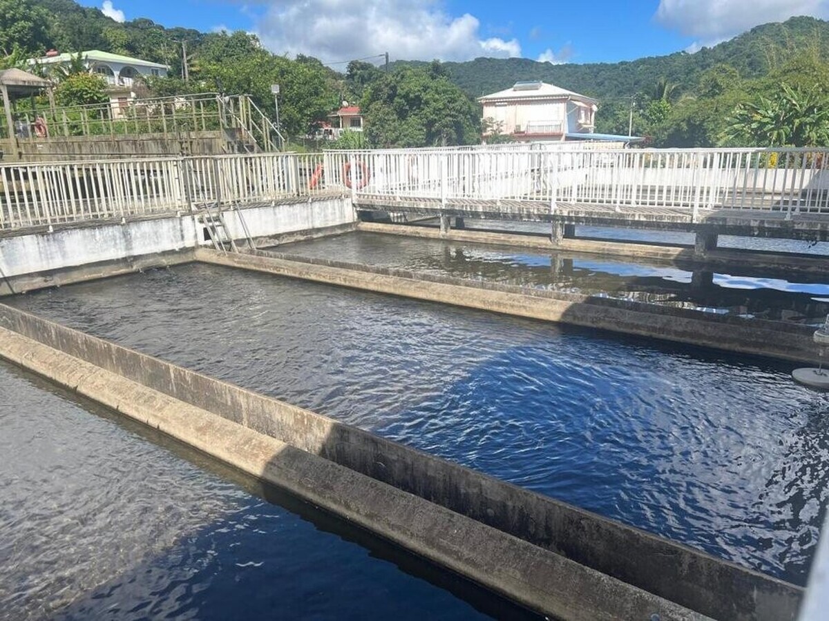 Martinique establishes a single water and sanitation authority