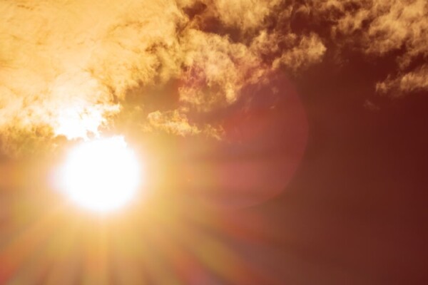 Canicule historique : la France suffoque sous des températures records