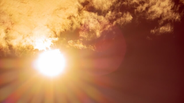 Canicule historique : la France suffoque sous des températures records Canicule historique : la France suffoque sous des températures records