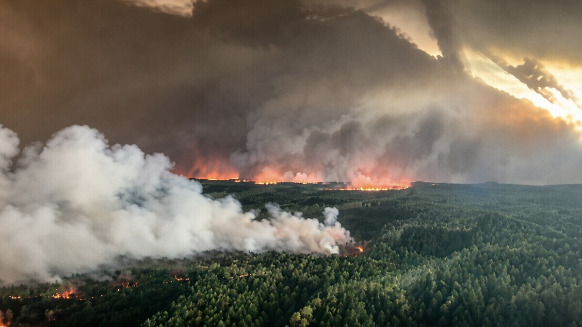 Incendies en Gironde : la chaleur menace de relancer les flammes, Macron réunit une cellule de crise