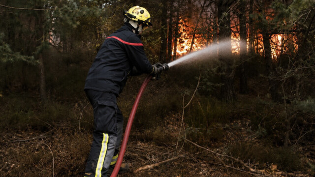 Fontainebleau : les feux sont fixés, un pompier volontaire reconnaît avoir allumé un incendie Fontainebleau : les feux sont fixés, un pompier volontaire reconnaît avoir allumé un incendie