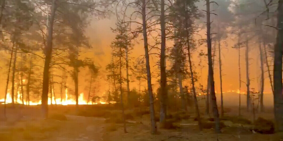 Incendie historique au sud de Paris : plus de 1.000 hectares ravagés à Fontainebleau