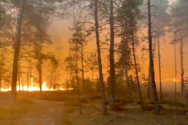 Incendie historique au sud de Paris : plus de 1.000 hectares ravagés à Fontainebleau