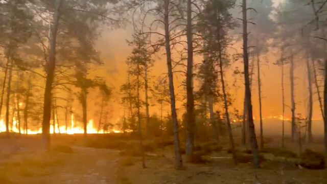 Incendie historique au sud de Paris : plus de 1.000 hectares ravagés à Fontainebleau Incendie historique au sud de Paris : plus de 1.000 hectares ravagés à Fontainebleau