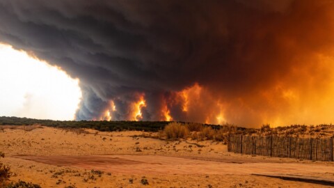 Gironde : la chaleur menace de réveiller le mégafeu après 42.000 hectares ravagés
