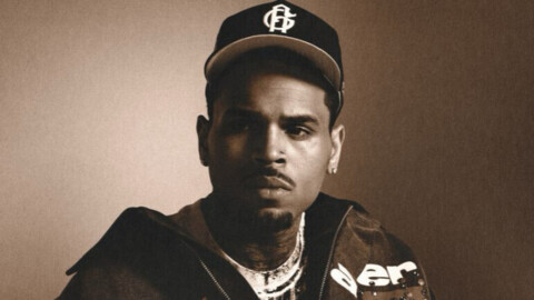 Chris Brown devra payer 13 millions de dollars après l’attaque sanglante de son chien sur une employée