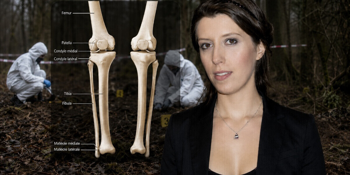 Affaire Jubillar : Deux Fémurs Et Un Tibia Très Abîmés Retrouvés Sur Le Lieu Désigné Par Cédric Jubillar