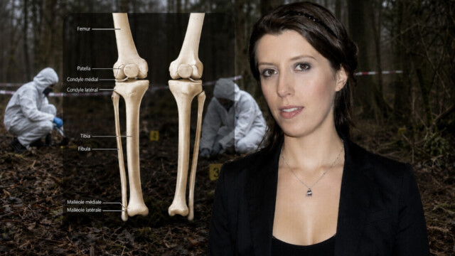 Screenshot Affaire Jubillar : deux fémurs et un tibia très abîmés retrouvés sur le lieu désigné par Cédric Jubillar