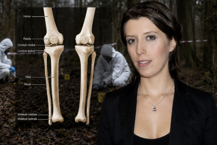 Affaire Jubillar : deux fémurs et un tibia très abîmés retrouvés sur le lieu désigné par Cédric Jubillar