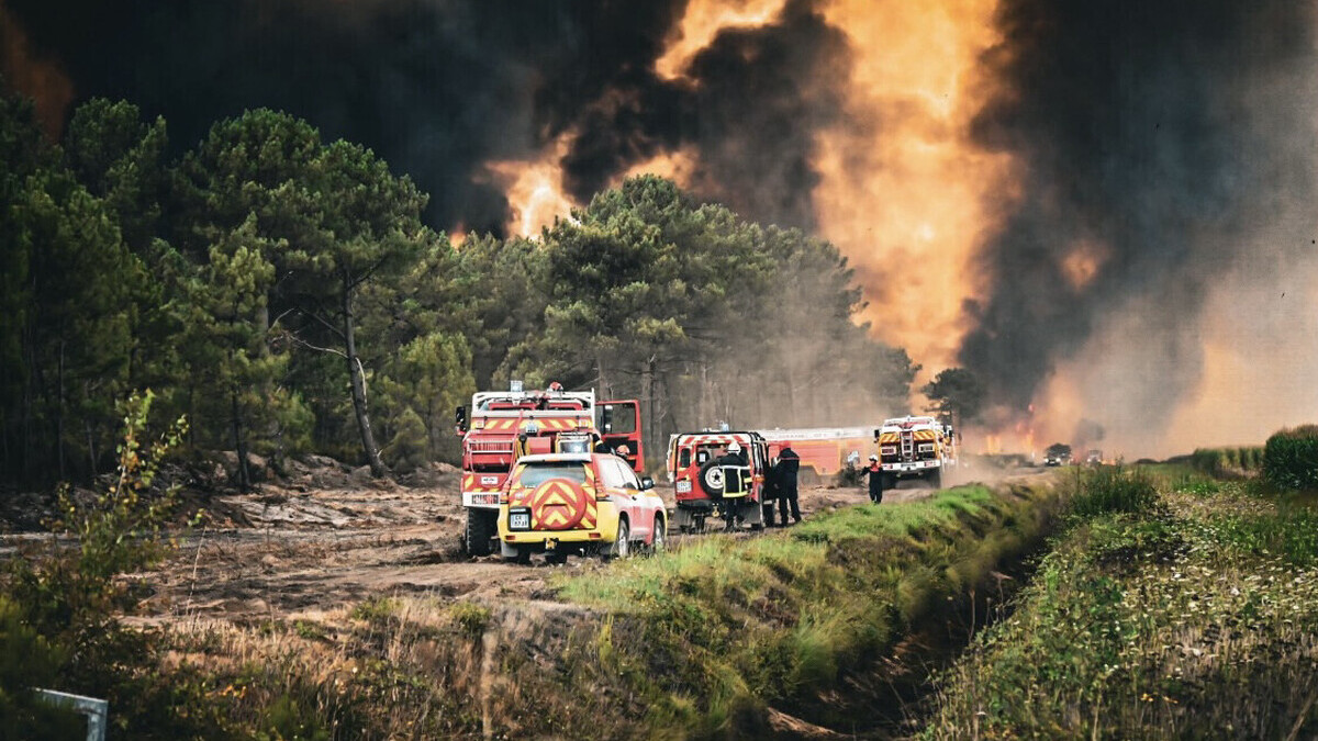 Mégafeu en Gironde : malgré une nuit calme, les pompiers redoutent une journée à très haut risque. (Pompiers de France) Pompiers de France