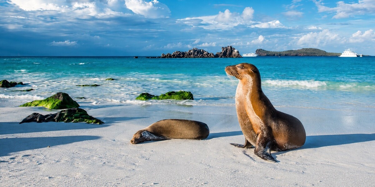Voyage enchanteur au cœur de l’Équateur, sur les traces de Darwin