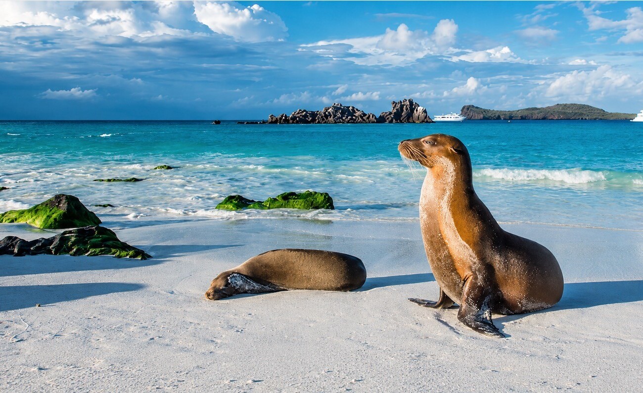 Voyage enchanteur au cœur de l’Équateur, sur les traces de Darwin