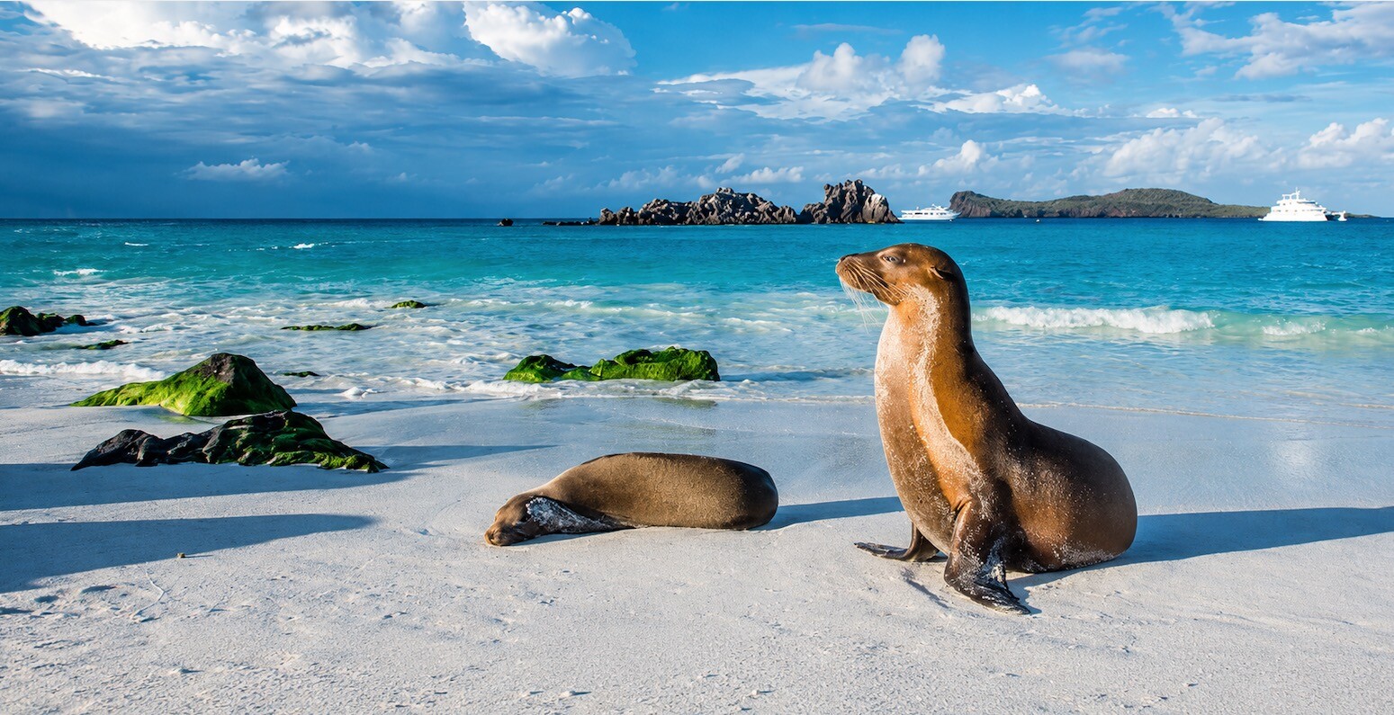 Voyage enchanteur au cœur de l’Équateur, sur les traces de Darwin — photo