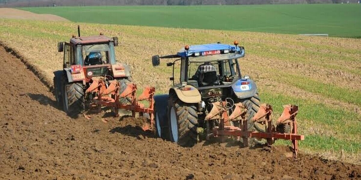 BTS agricoles : pourquoi les effectifs s'érodent malgré des besoins croissants dans les exploitations