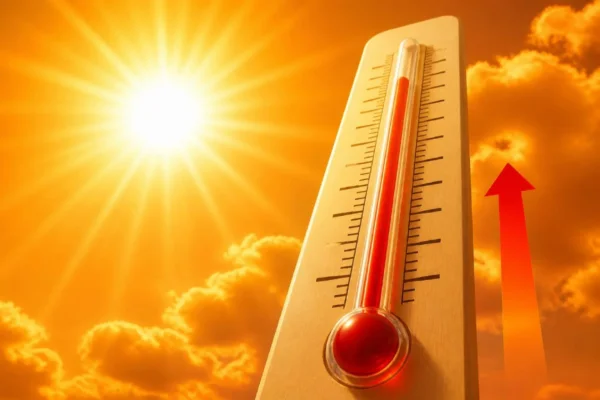 Canicule : la sécheresse atteint un niveau inédit, 98 départements concernés — photo