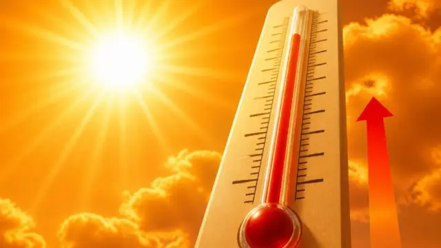 Canicule : la sécheresse atteint un niveau inédit, 98 départements concernés
