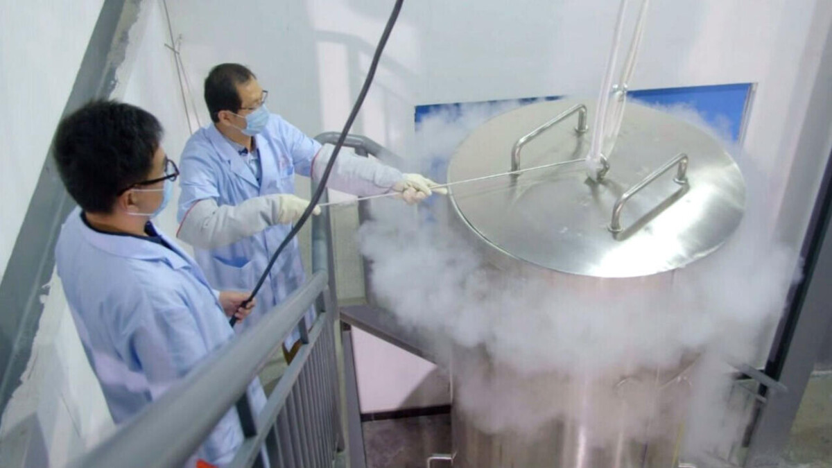 Cryogéniste : ce métier méconnu qui manipule le froid extrême au service de la médecine et de l'industrie