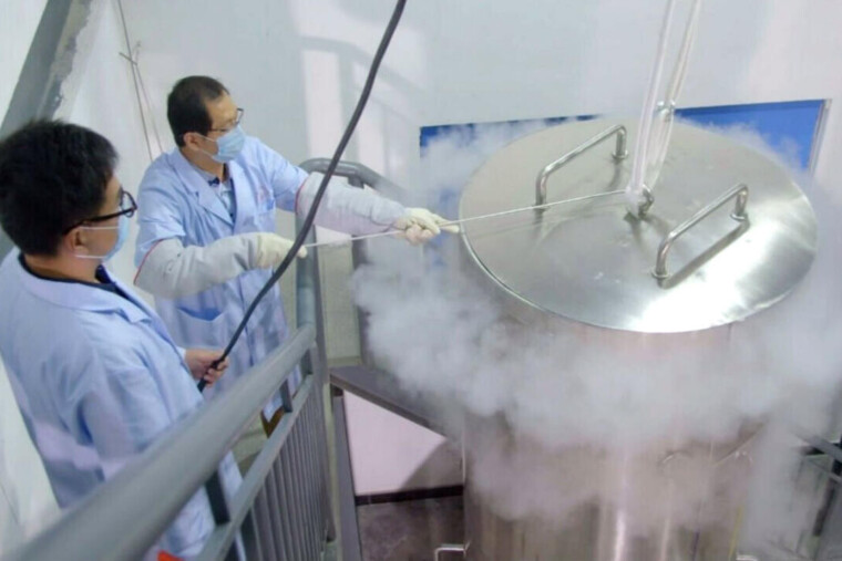 Cryogéniste : ce métier méconnu qui manipule le froid extrême au service de la médecine et de l'industrie