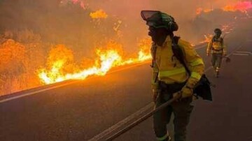 Espagne : un incendie de forêt meurtrier fait au moins 11 morts en Andalousie