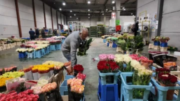 Fleuristes : un secteur sous pression malgré des rendez-vous commerciaux essentiels en 2026
