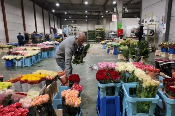 Fleuristes : un secteur sous pression malgré des rendez-vous commerciaux essentiels en 2026