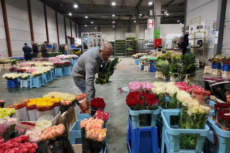 Fleuristes : un secteur sous pression malgré des rendez-vous commerciaux essentiels en 2026