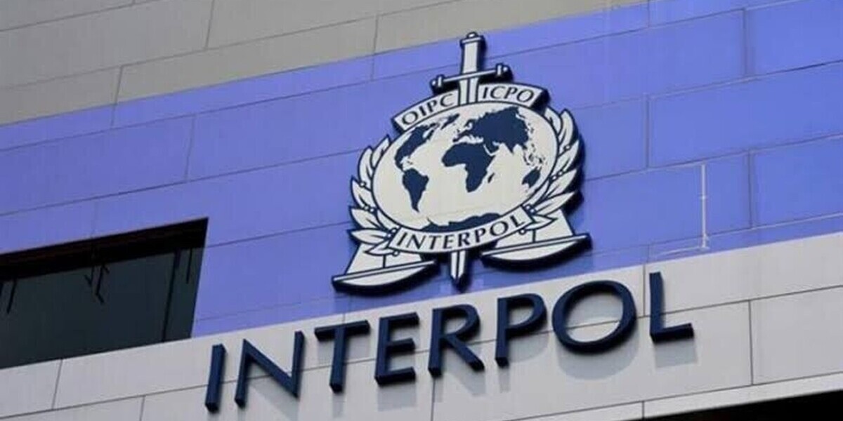 Fraude en ligne : Interpol annonce 5.800 arrestations et 300 millions de dollars saisis lors d'une opération mondiale