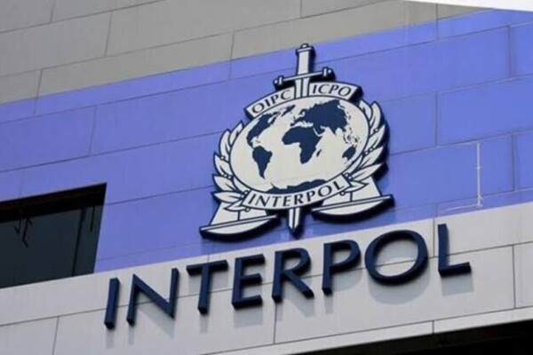 Fraude en ligne : Interpol annonce 5.800 arrestations et 300 millions de dollars saisis lors d'une opération mondiale