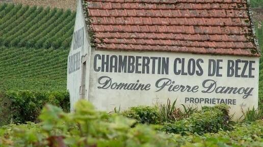 Bourgogne : la vente d’un domaine relance les inquiétudes sur l’envolée du prix des vignes