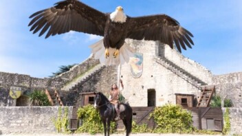 À Provins, un ballet aérien de rapaces fait revivre le Moyen Âge