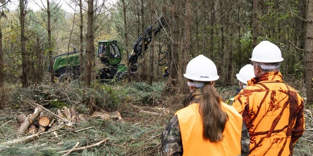 Le gouvernement lance une offensive pour préserver les forêts face au changement climatique
