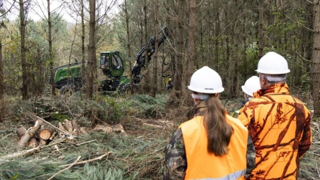 Le gouvernement lance une offensive pour préserver les forêts face au changement climatique Le gouvernement lance une offensive pour préserver les forêts face au changement climatique