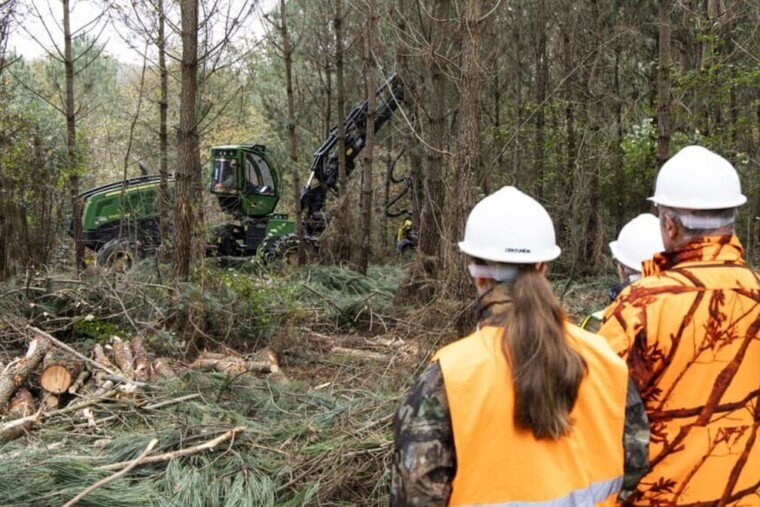 Le gouvernement lance une offensive pour préserver les forêts face au changement climatique