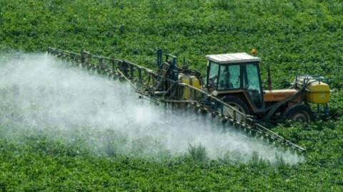 Loi d'urgence agricole : les députés adoptent le texte avec la réintroduction dérogatoire de pesticides