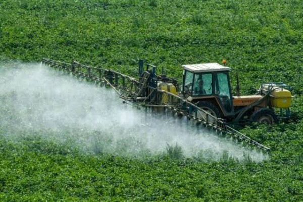 Loi d'urgence agricole : les députés adoptent le texte avec la réintroduction dérogatoire de pesticides