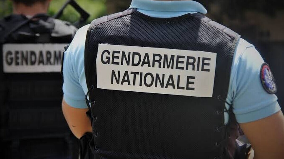 Pédocriminalité : 178 utilisateurs de Coco interpellés lors d'une vaste opération menée dans toute la France Pédocriminalité : 178 utilisateurs de Coco interpellés lors d'une vaste opération menée dans toute la France