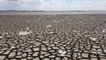 Sécheresse : son coût économique dépassera celui de 2022, prévient le gouvernement