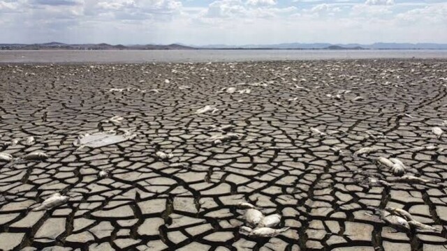 Sécheresse : son coût économique dépassera celui de 2022, prévient le gouvernement