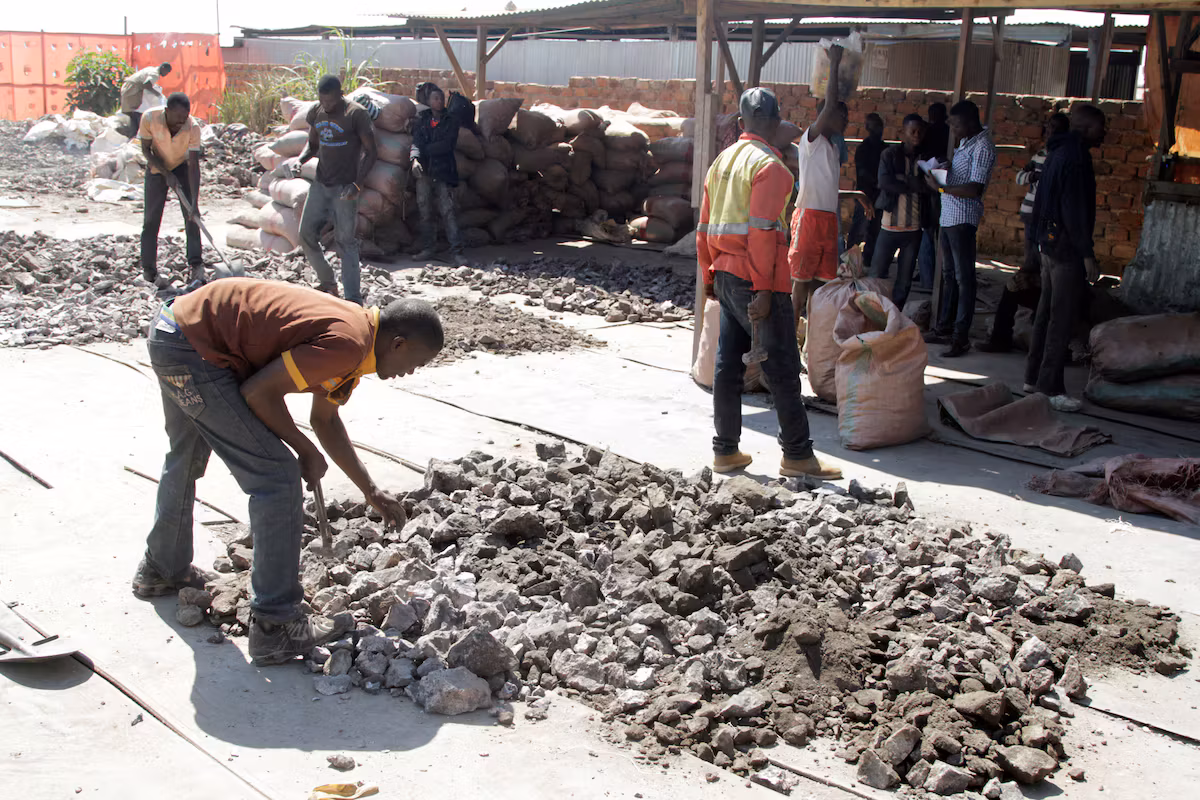 An administrative blockage threatens cobalt exports from the DRC and worries producers