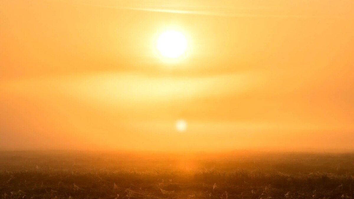 Canicule au Maghreb : des centaines d’incendies ravagent l’Algérie, le Maroc et la Tunisie