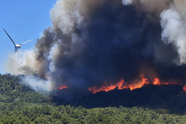 Incendies dans le Sud : 7.000 départs de feu, 8.700 hectares brûlés