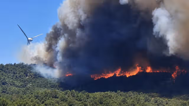 Screenshot Incendies dans le Sud : 7.000 départs de feu, 8.700 hectares brûlés