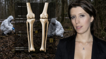 Affaire Jubillar : deux fémurs et un tibia très abîmés retrouvés sur le lieu désigné par Cédric Jubillar