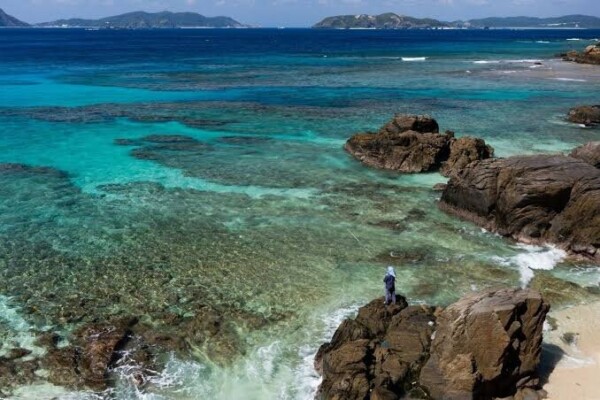 En Sardaigne, les secrets du vieillissement heureux dans la zone bleue