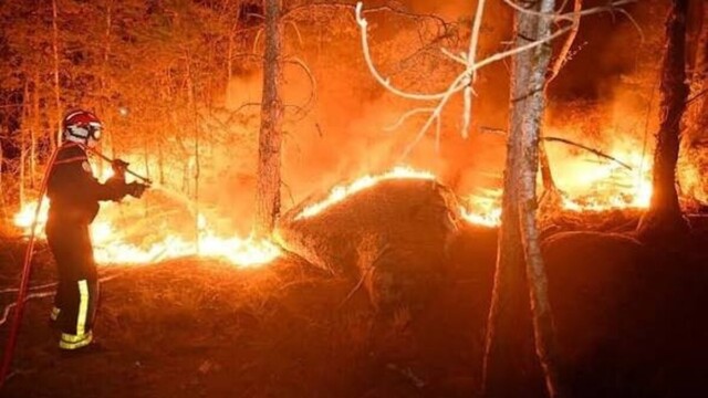 Fontainebleau : qui sont vraiment les pyromanes parmi les incendiaires Fontainebleau : qui sont vraiment les pyromanes parmi les incendiaires